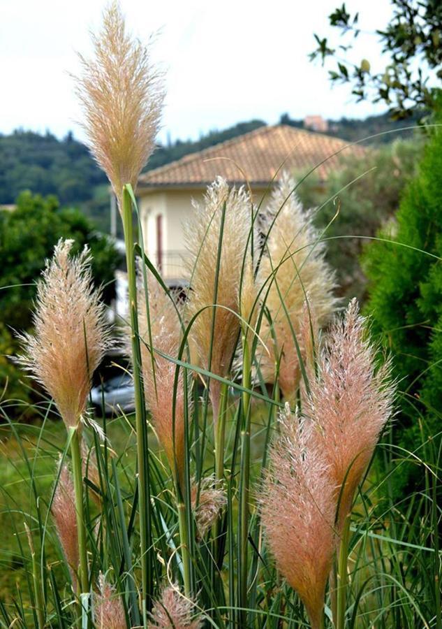 Jerry Afro Pension Kanálion Buitenkant foto